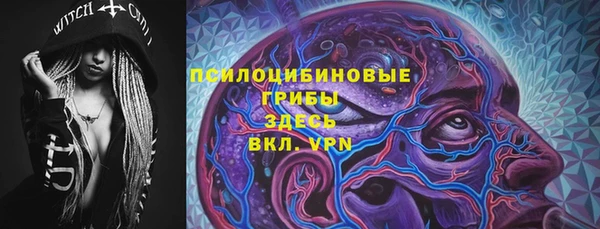 ПСИЛОЦИБИНОВЫЕ ГРИБЫ Алексин
