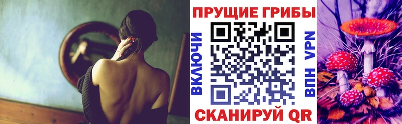 Галлюциногенные грибы Psilocybine cubensis Тогучин